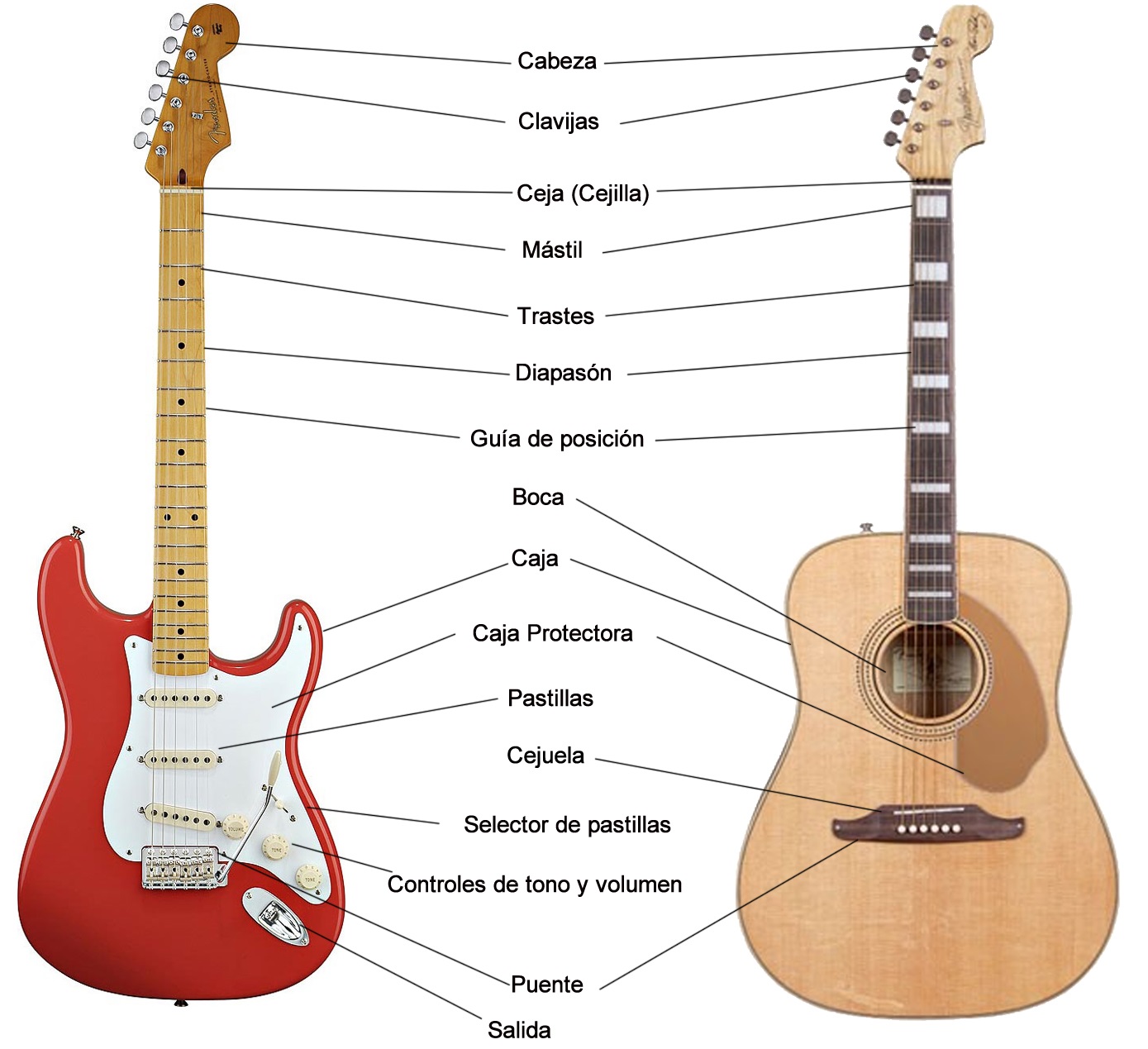 Partes de la guitarra